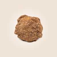 MACADAMIA NUTS
